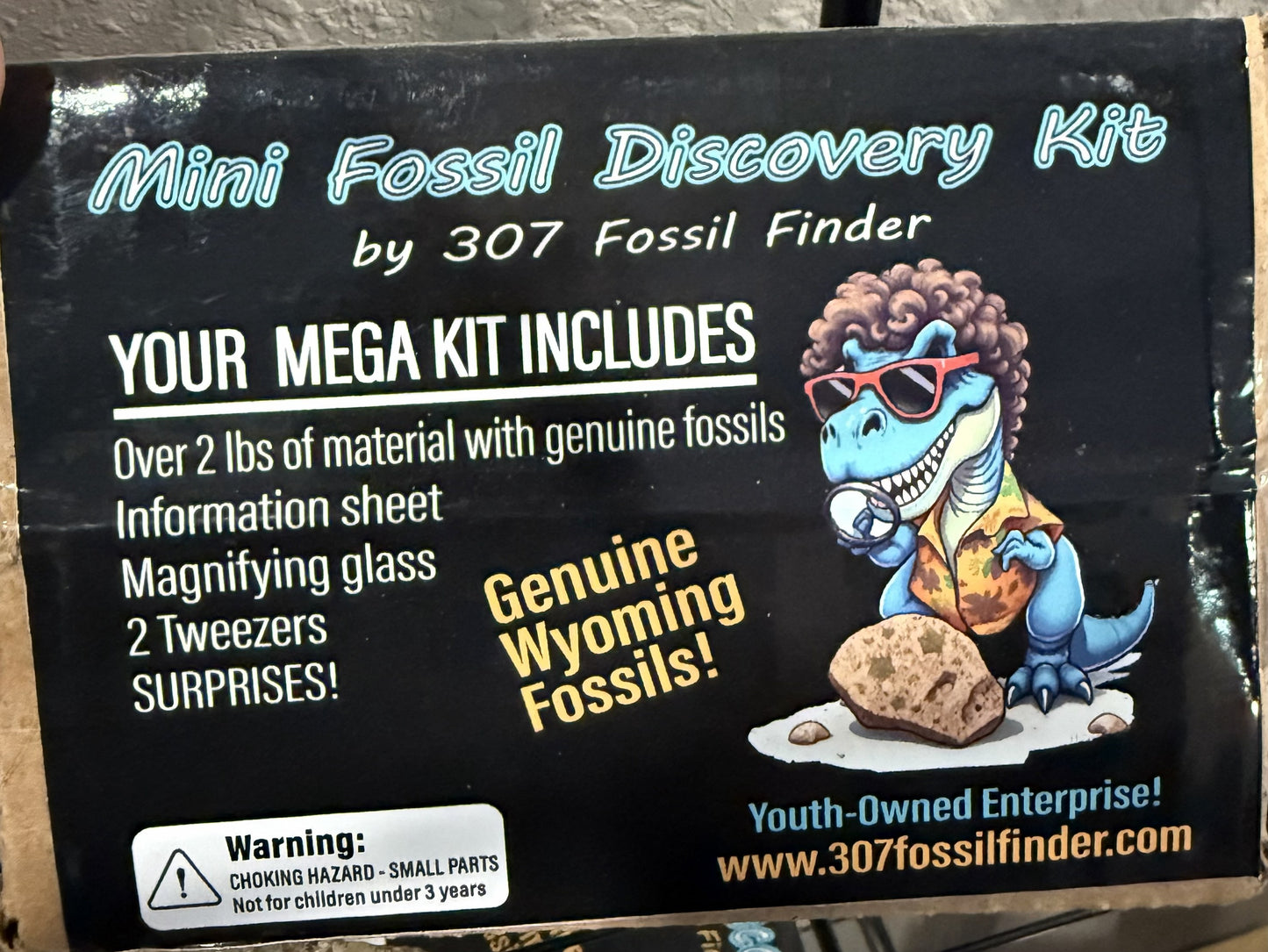 Mega Fossil Kit