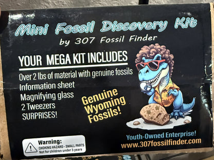 Mega Fossil Kit