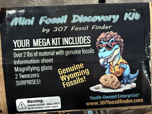 Mega Fossil Kit