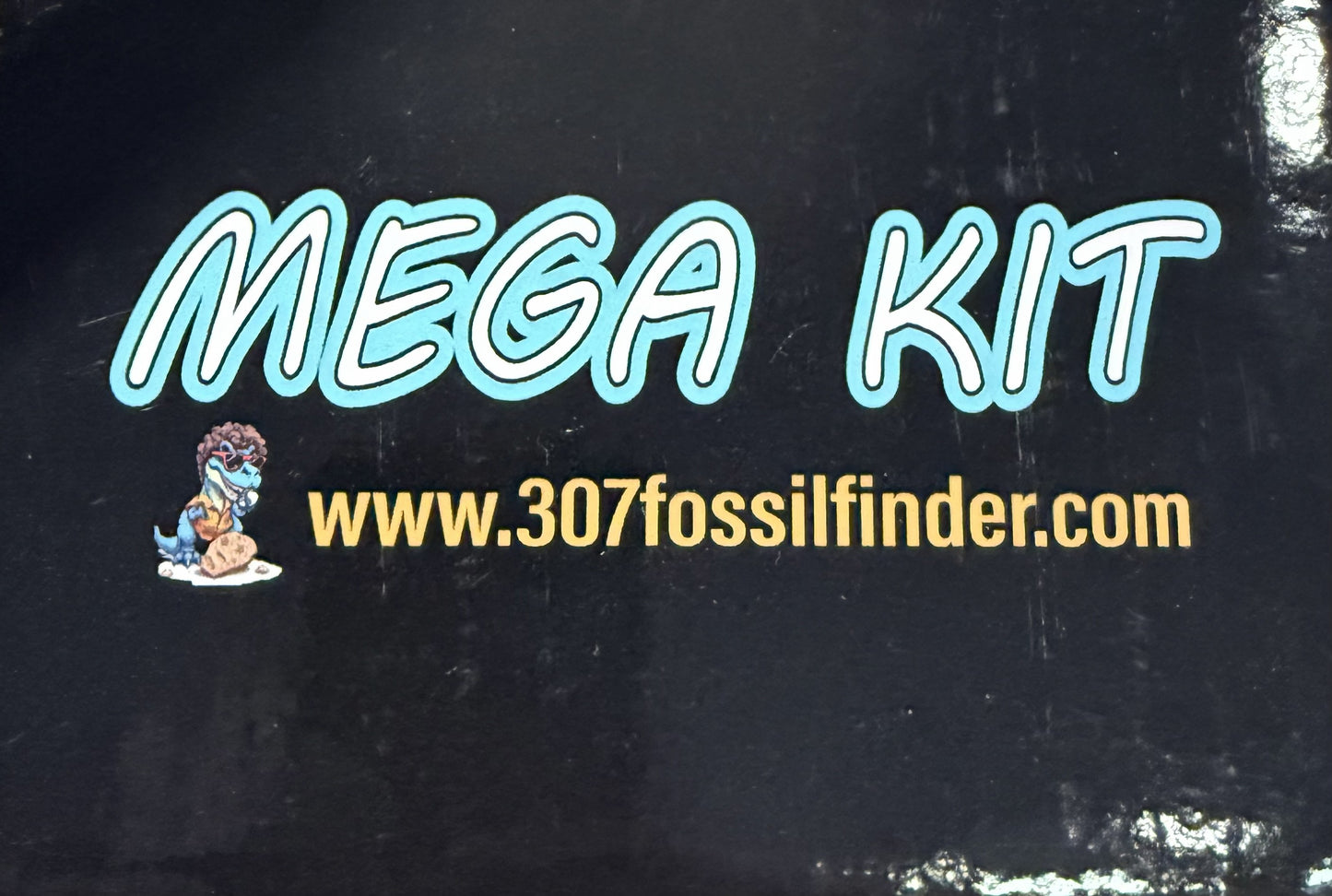 Mega Fossil Kit