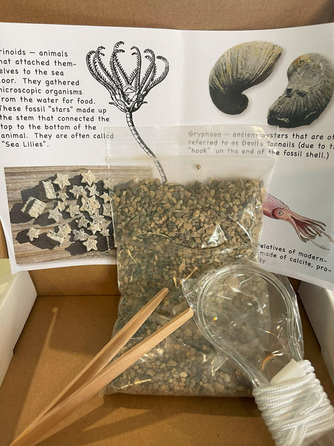 Mini Fossil Discovery Kit