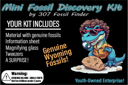 Mini Fossil Discovery Kit